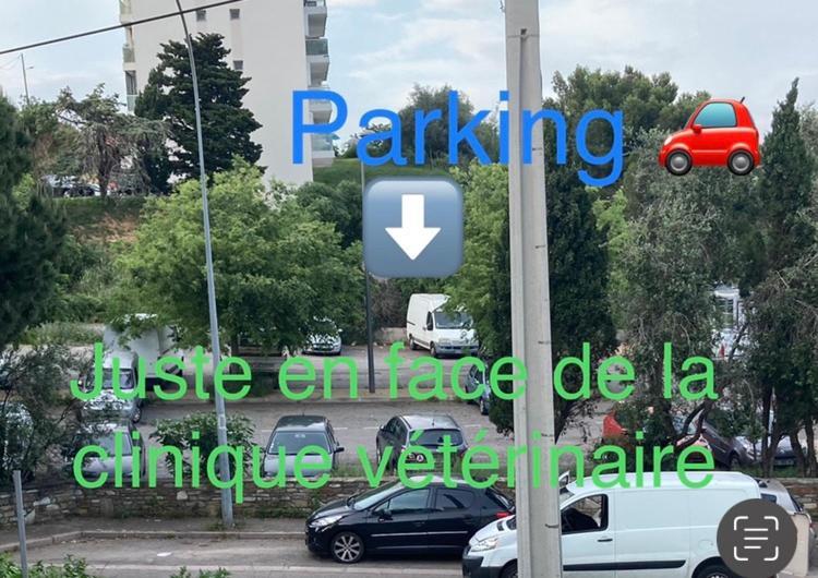 Mountain View & Sea View Location Chambre Individual 1 Sur 3 Chambres Dispo Avec Climes Mais Salle De Bain Et Salon En Commune Μπαστιά Εξωτερικό φωτογραφία